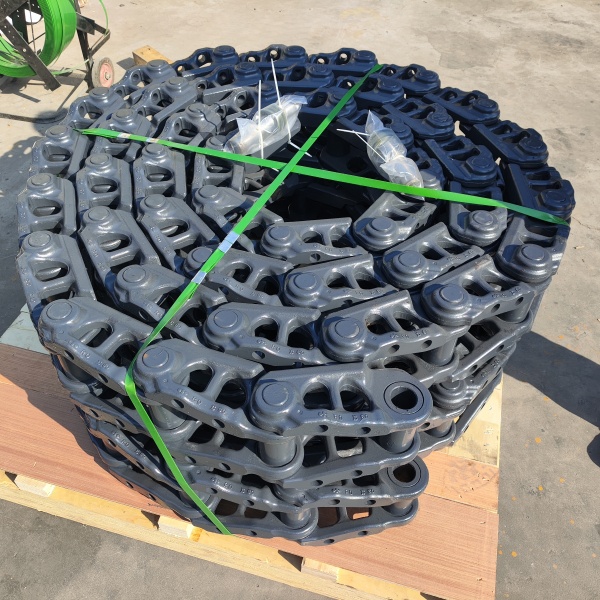 IMG_20240124_052844. jpg